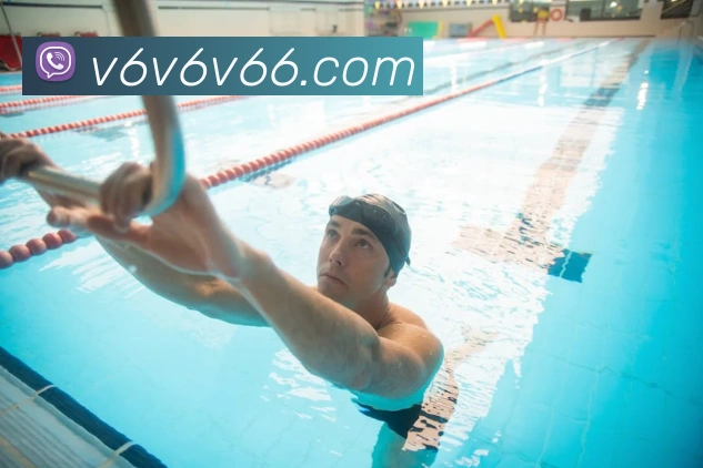 v66全站App v66全站App